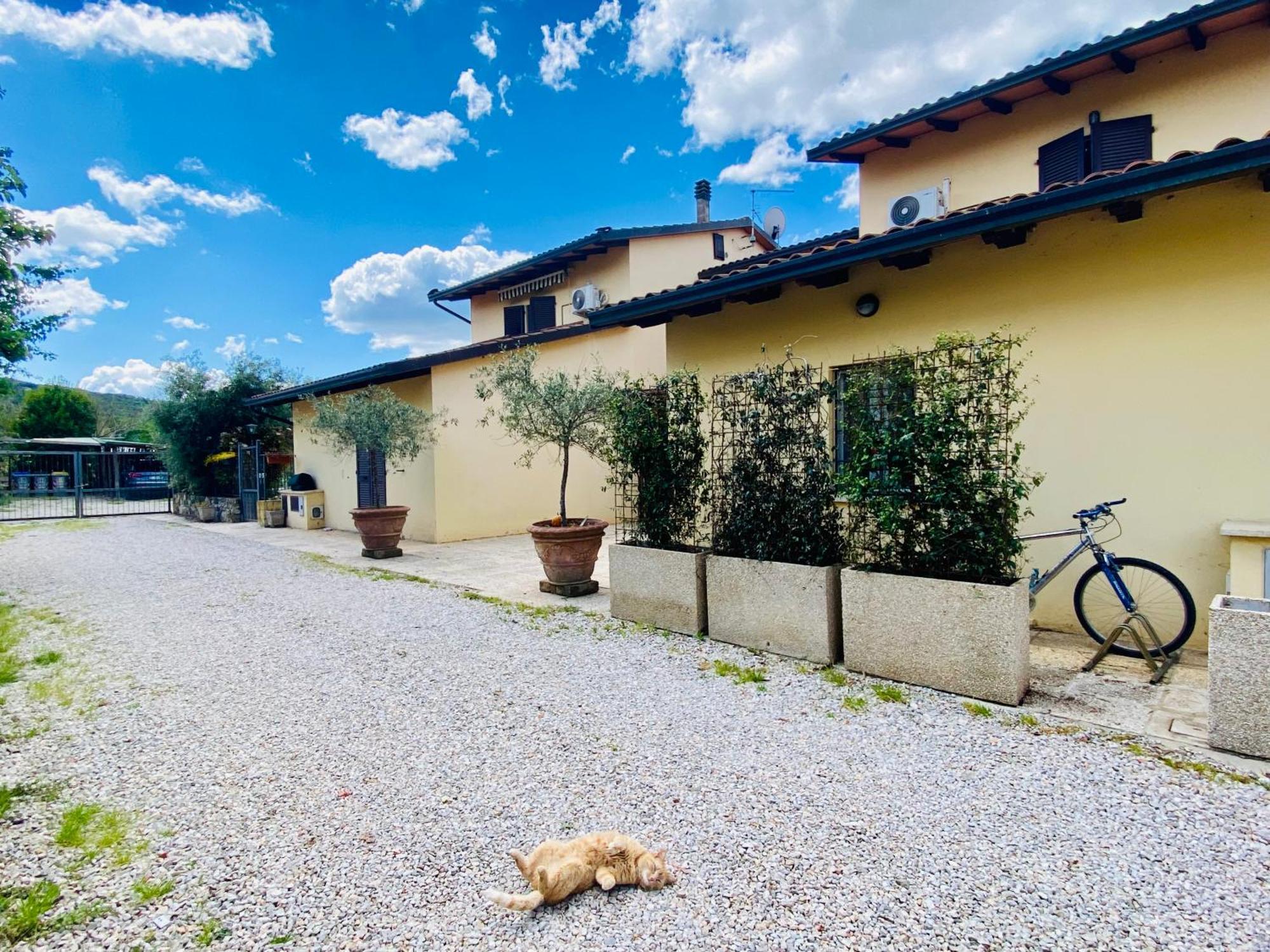 Casa Vacanze Barbara SantʼArcangelo Extérieur photo
